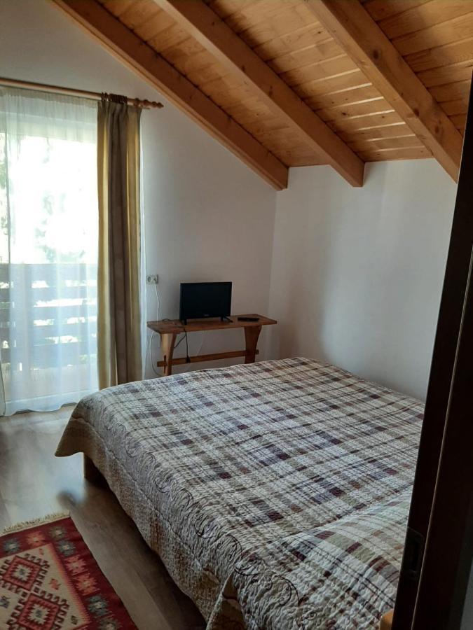 Appartement Casuta Pietrosul Rodnei à Borşa Extérieur photo